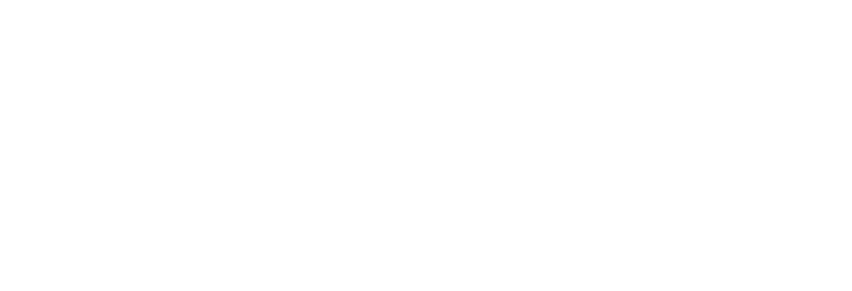 Romanov Solutions